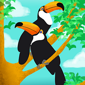 Tucanos - Coleção Fauna Brasileira. Un proyecto de Ilustración digital de Kamilla Borges Almeida - 01.04.2021