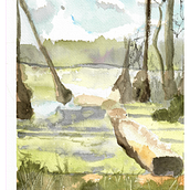 My project in  Natural Landscapes in Watercolor course. Pintura em aquarela projeto de Yves Roblin - 01.04.2021