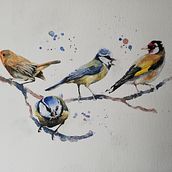 My project in Artistic Watercolor Techniques for Illustrating Birds course . % handelmeva tarafından hazırlanan Sulubo, Ve a Resim projesi - 04.01.2021