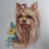 New project,"Sunny boy" . Artistic Drawing project by Juli Tokarenko - 04.01.2021