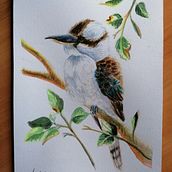 Kookaburra (acuarelas) Ein Projekt aus dem Bereich Naturalistische Illustration von Ana Isabel - 02.04.2021