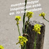 Mi Proyecto del curso: Fotografía y vídeo profesional con tu móvil. Redes sociais projeto de Rene Enrique Martinez Solari - 17.03.2021