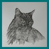 Jude my faithful cat, Nitram liquid charcoal, Sarah your course was brilliant!  . Un proyecto de Ilustración tradicional de Judith Vivian - 03.04.2021