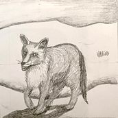 My project in Creation of a Children's Picturebook course. Ilustração editorial projeto de Kathrin Fo - 03.04.2021