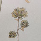 Mein Abschlussprojekt: Schöpfung von Farbpaletten mit Aquarell. Watercolor Painting project by viola109 - 04.03.2021