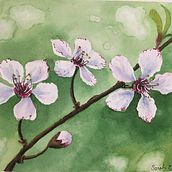 Spring Flowers. Un progetto di Pittura ad acquerello di Sarah Mills - 29.03.2021