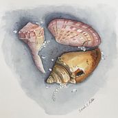 Honeymoon Shells. Un progetto di Pittura ad acquerello di Sarah Mills - 22.02.2021