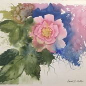 Hide and Seek Rose. Un progetto di Pittura ad acquerello di Sarah Mills - 01.04.2021