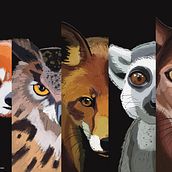 Biodiversity . Ilustração digital projeto de Rebecca Paramio Nave - 04.04.2021