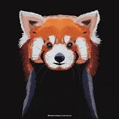 Red Panda. Ilustração digital projeto de Rebecca Paramio Nave - 04.04.2021