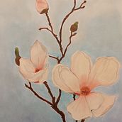 Magnolia. Un projet de Dessin, Dessin au cra, on , et Dessin artistique de Laura Pagan - 26.01.2018