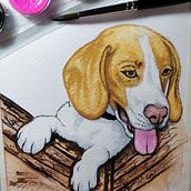 Mi Proyecto del curso: Técnicas experimentales de acuarela para principiantes. Un proyecto de Pintura a la acuarela, Ilustración tradicional, Bellas Artes e Ilustración naturalista				 de Oscar Giovanny Molina Vela - 22.04.2021