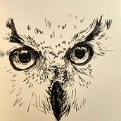 ink animals. Traditional illustration project by Olivia Molon - 04.05.2021