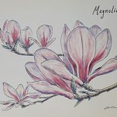 Mi Proyecto del curso: Cuaderno botánico en acuarela. Fine Arts, Traditional illustration, Botanical Illustration, and Watercolor Painting project by Davina Greeves - 04.05.2021