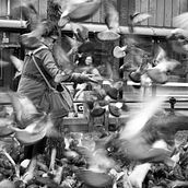 One day in Newcastle upon Tyne (UK) . Fotografie de Melanie Wood - 04.05.2021