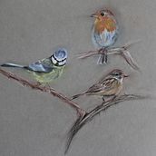 Feathery friends. Naturalistic Illustration, and Watercolor Painting project by Jo Sheridan - 04.05.2021