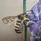 lavender bee. Painting, and Oil Painting project by Roberto Toledo - 04.06.2021