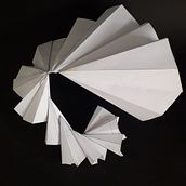 Concepto multi vivienda para aves . Un projet de Conception de produits de Fabian Rosero - 06.04.2021