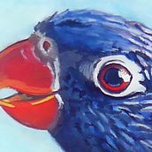 Ave subiendo a un poste. Watercolor Painting project by Karina Pita Ihring - 04.06.2021