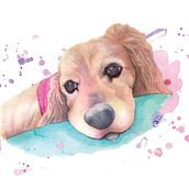 + perritos en acuarela. Un projet de Illustration traditionnelle de Daniela Lopez - 06.04.2021