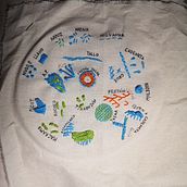 Muestrario . Embroider project by Antonia Moure - 04.06.2021