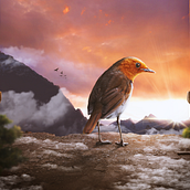 Palco. Matte Painting project by Cesar Wakabayashi - 04.21.2021