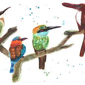 Four Sri Lankan birds. Watercolor Painting project by Marion Moffatt - 04.07.2021
