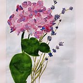 Botanical Sketchbook Pages : Hydrangea & Lavender. Watercolor Painting project by victoria_ortgiesen - 04.02.2021