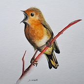 Mein Kursprojekt: Illustriere Vögel mit expressiven Aquarelltechniken . Watercolor Painting project by Scarlett Gnad - 04.07.2021