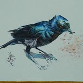 My project in Artistic Watercolor Techniques for Illustrating Birds course. Un proyecto de Pintura a la acuarela de K W - 07.04.2021