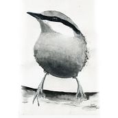 New Artistic Watercolor Techniques for Illustrating Birds. 3D, Ilustração arquitetônica, Ilustração botânica, e Artes plásticas projeto de Lars Edberg - 07.04.2021