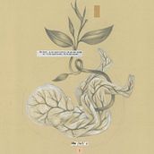 Persona Invicta. Een project van Traditionele illustratie van Claudia Salgueiro - 01.09.2016