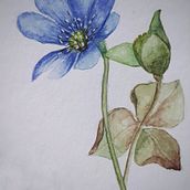 Frösche. Watercolor Painting project by Scarlett Gnad - 04.07.2021