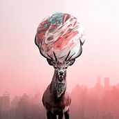 Surrealismo . Projekt z dziedziny Fotomontaż użytkownika Max De la Sotta - 08.04.2021