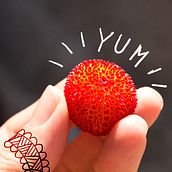 Con tableta Wacom (pruebas varias). Un proyecto de Dibujo digital, Fotografía digital e Ilustración digital de ileana Márquez - 09.04.2021