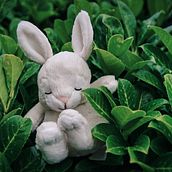 Mi Proyecto del curso:  Bullet journal creativo: planificación y creatividad . Calligraph project by Sophy Flores Rosendo - 04.09.2021