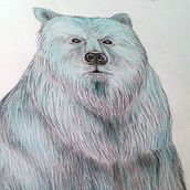Pencil and ink drawings. Drawing project by Marcela Angel - 04.09.2021
