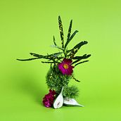 COLOR.. Art Direction, and Fine-Art Photograph project by Renata Vomend - 11.20.2020
