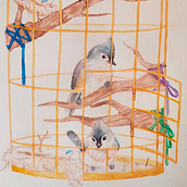 Ninhos e Grades. Een project van Aquarelschilderen van Ana Beatriz Costa Viana - 10.04.2021