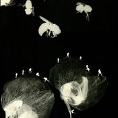 Memoir. Film Photograph, Fine-Art Photograph, Traditional illustration, and Photograph project by Gabriela Sauer Kolcavova - 04.10.2021