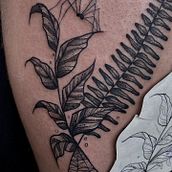 Mi Proyecto del curso: Tatuaje botánico con puntillismo Ein Projekt aus dem Bereich Botanische Illustration von helenakandon - 10.04.2021