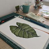 Meu projeto do curso: Aquarela botânica: ilustre a anatomia das flores. Un proyecto de Ilustración botánica de Bruna Moreti - 10.04.2021