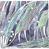 Color Experimentations. Botanical Illustration, Painting, and Watercolor Painting project by Gabriela Sauer Kolcavova - 04.10.2021
