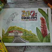 Mein Kursprojekt: Aquarellreiseheft - Zoo und Botanik Guadeloupe. Watercolor Painting project by juliana_esterer - 04.10.2021