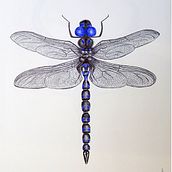 Experiments with Pen. Artistic Drawing, and Traditional illustration project by Dimitra Kountiou - 04.10.2021