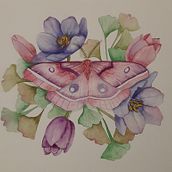 questi i miei compiti, sono soddisfatta insegnante bravissima. Watercolor Painting project by Daniela Scalco - 04.12.2021