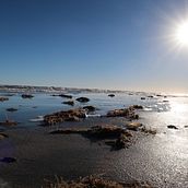 Photography Sunset Shoreline. Un progetto di Fotografia digitale di Brenda Arredondo - 28.12.2020