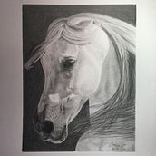 Caballo  . % Alberto Murazzo tarafından hazırlanan Gerçekçi Çizim projesi - 04.11.2021