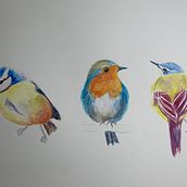 My Project  3 birds Artistic water colour Illustration. Watercolor Painting project by lkhamilton4 - 04.11.2021
