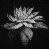 Ilustración realista con bolígrafo. Drawing, Realistic Drawing, Botanical Illustration, Ink Illustration, and Naturalistic Illustration project by Nerea - 04.11.2021